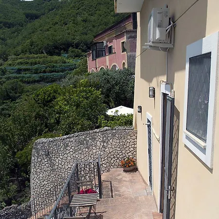 Aparthotel Zelzar 4*