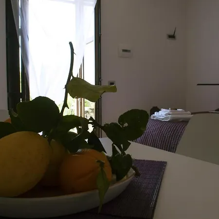 Zelzar Aparthotel 3*